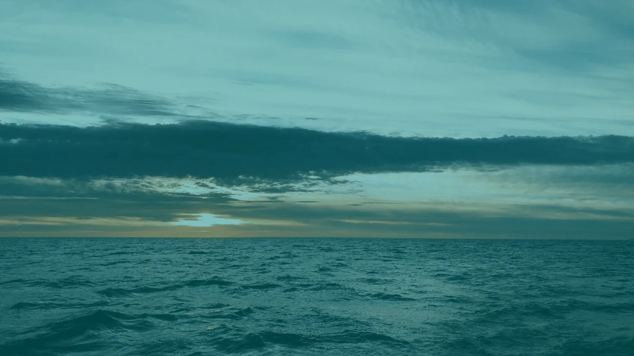 Interplanetary File System